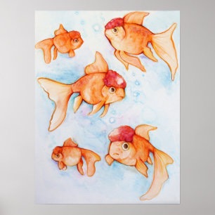 Affiche Oranda Goldfish