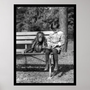 Affiche Orang-outan et garçon en parc 1920