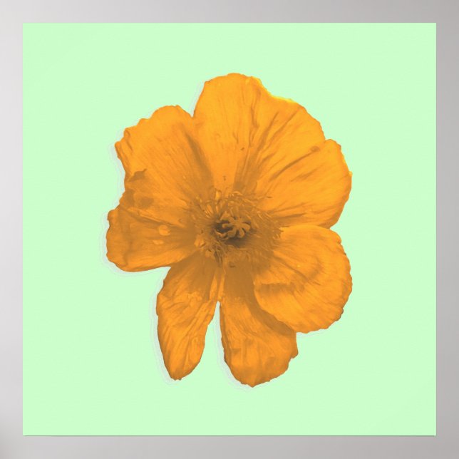 Affiche Orange Aid/ PopArt Flower (Devant)