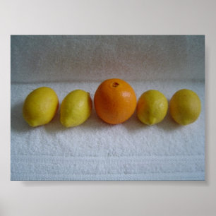 Affiche Orange and Lemons