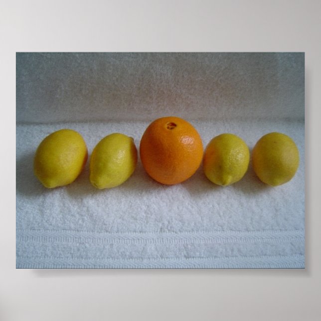 Affiche Orange and Lemons (Devant)