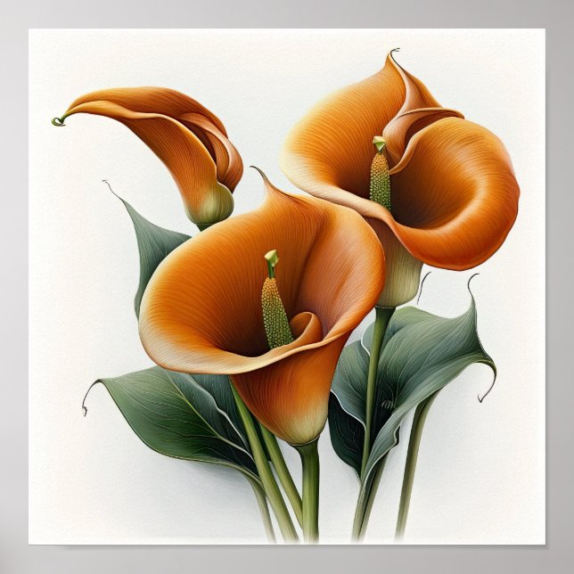 Affiche Orange Calla Lilies Lily Flower Art Imprimer Poste (Devant)