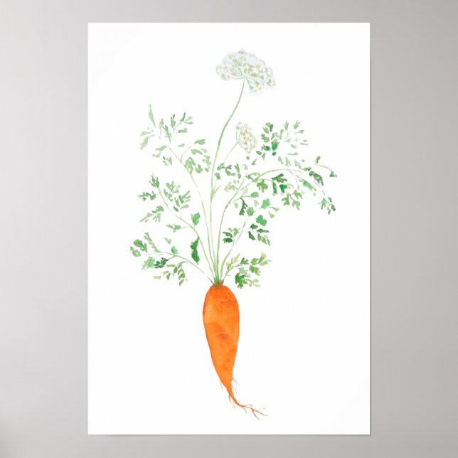 Affiche orange carrot  watercolor  (Devant)