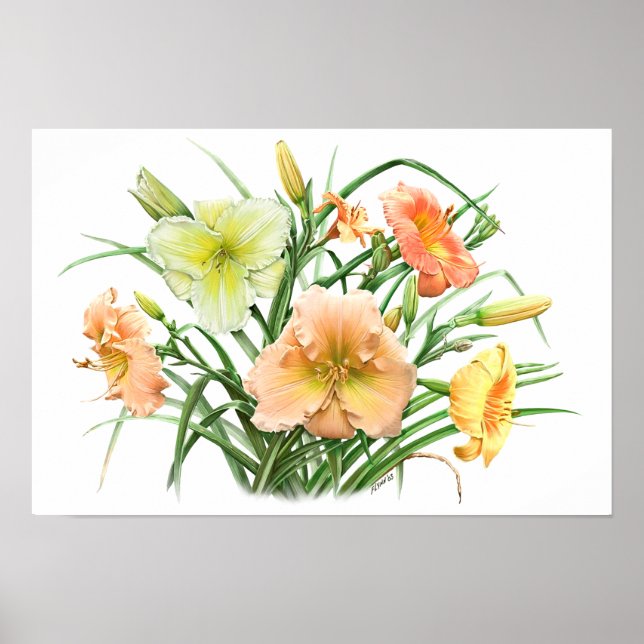 Affiche Orange Daylilies Art Botanique Original Imprimer (Devant)