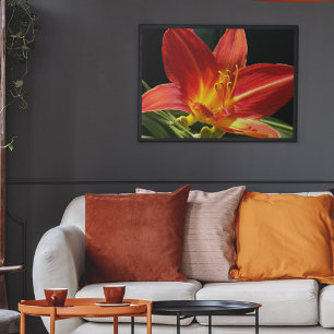 Affiche Orange Daylily Bloom Floral