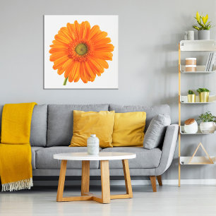 Affiche Orange Gerbera Daisy fleur sur photo blanche