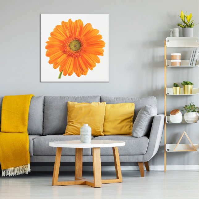 Affiche Orange Gerbera Daisy fleur sur photo blanche (Créateur téléchargé)