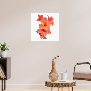 Affiche Orange gladiolus Floral