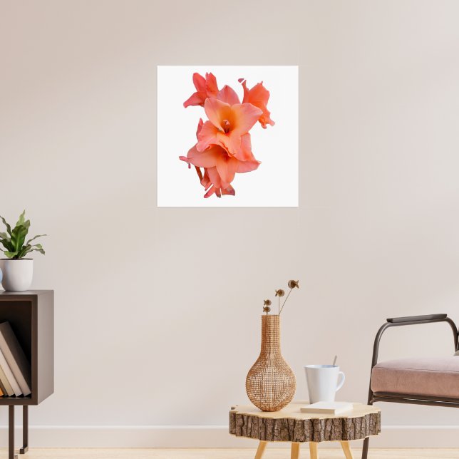 Affiche Orange gladiolus Floral (Salon 3)