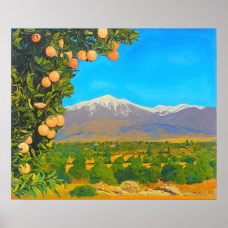 Affiche Orange Groves Neige Carrée Mont Baldy Début 1900