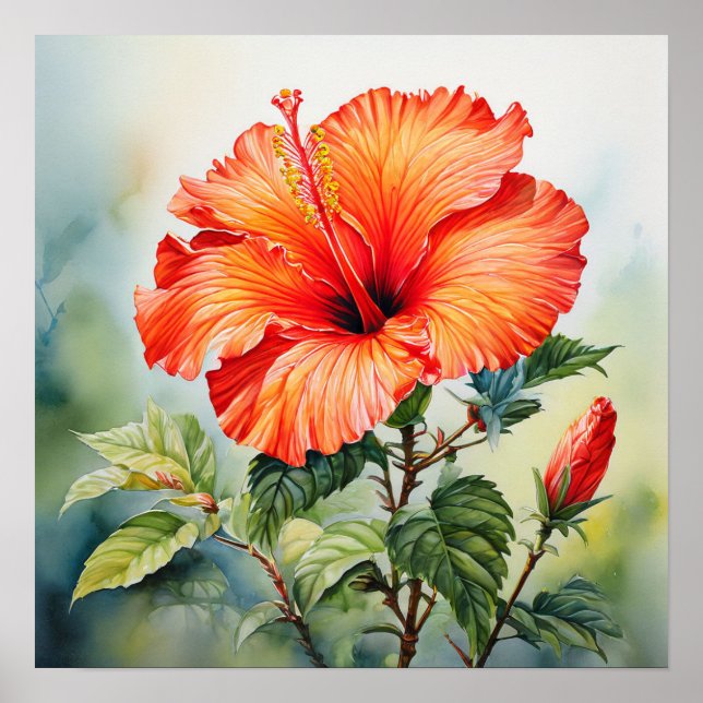 Affiche Orange Hibiscus couleur eau Imprimer (Devant)