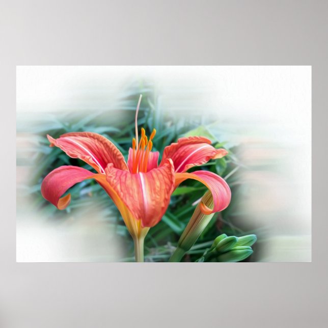 Affiche orange lily (Devant)