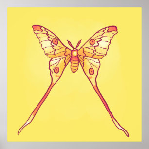 Affiche Orange Luna Moth Art - Insecte colorée