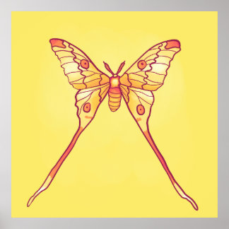 Affiche Orange Luna Moth Art - Insecte colorée