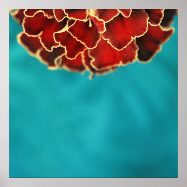 Affiche Orange Marigold Fleur Pétale Macro Abstrait (Devant)
