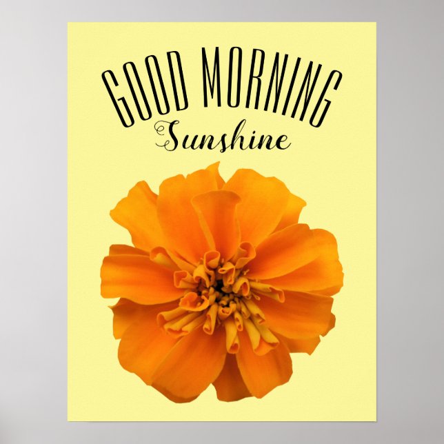 Affiche Orange Marigold Good Morning Sunshine (Devant)