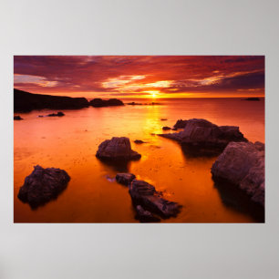 Affiche Orange seascape, sunset, California
