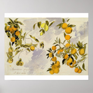 Affiche Orange Trees, 1863 (w/c, stylo et encre sur graphi