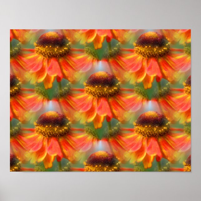 Affiche Orange Zinnia Flowers Art Abstrait (Devant)