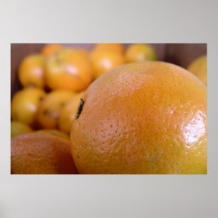 Affiche Oranges 2