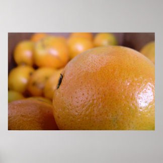 Affiche Oranges 2