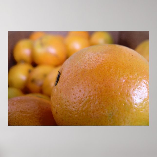 Affiche Oranges 2 (Devant)