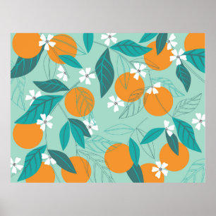 Affiche Oranges florissantes en feuille. illustration