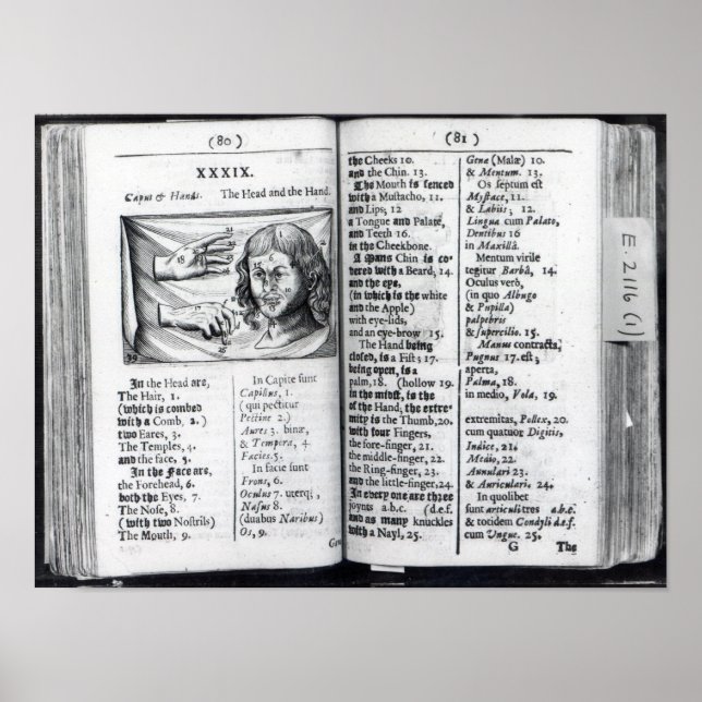 Affiche 'Orbis Sensualium Pictus' (Devant)