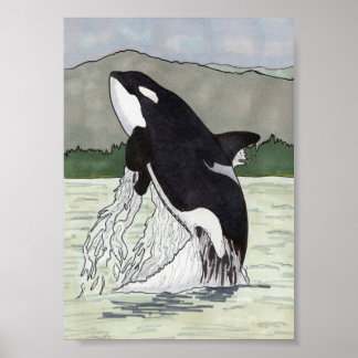 Affiche Orca / Baleine tueuse 5x7