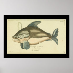 Affiche Orca, Baleine tueuse Vintage Imprimer