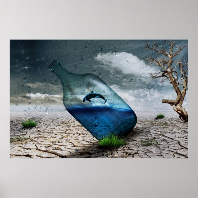 Affiche Orca Whale in a Bottle Nature Wall (Devant)