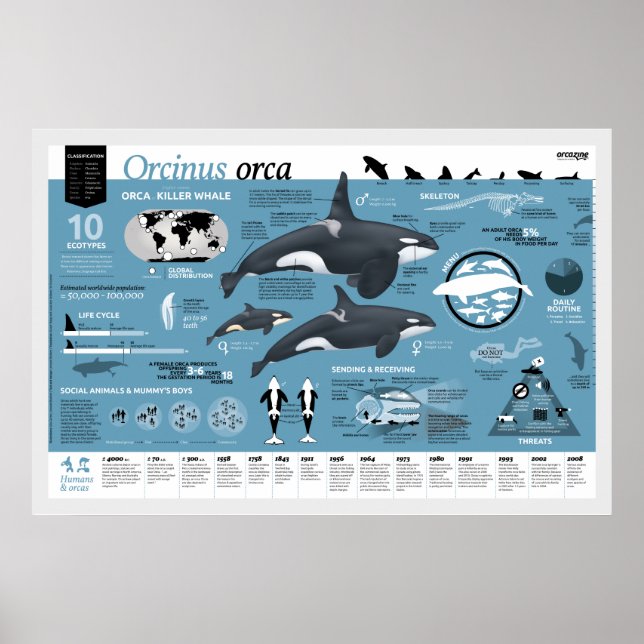 Affiche orcagraphique - Édition française (Devant)