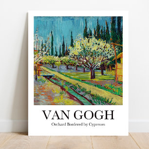 Affiche Orchard bordé par Cyprès par Vincent van Gogh