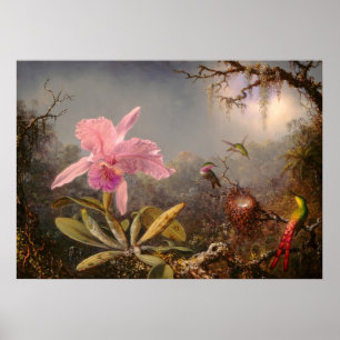 AFFICHE ORCHID ET TROIS HUMMINGBIRDS