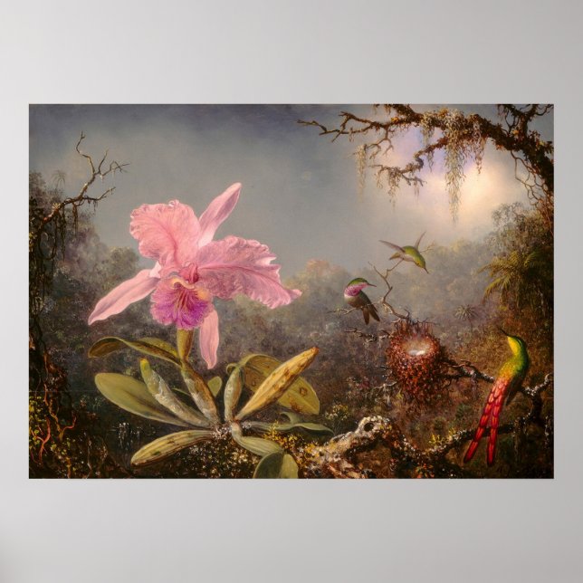 AFFICHE ORCHID ET TROIS HUMMINGBIRDS (Devant)