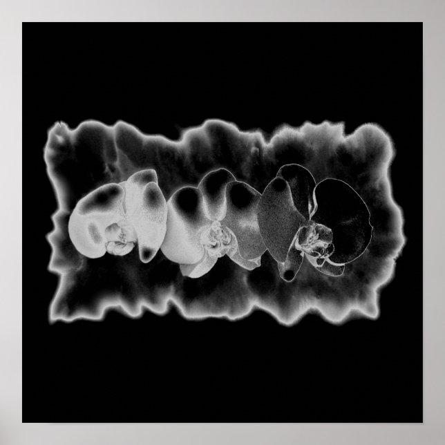 Affiche Orchidée blanche noire peinture trippée florale (Devant)