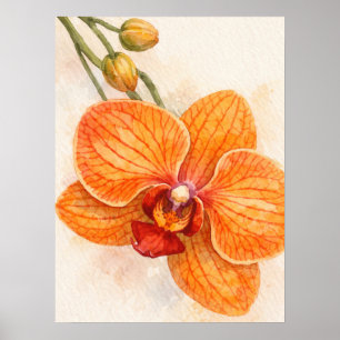 Affiche Orchidée botanique papillon à fleur unique