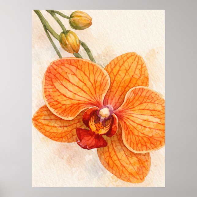 Affiche Orchidée botanique papillon à fleur unique (Devant)