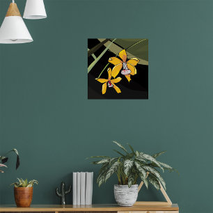 Affiche Orchidée jaune Fleur tropicale Botanique