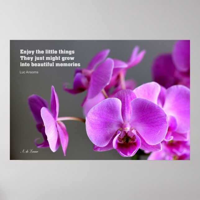 Affiche Orchidée mauve lilas violet, citation inspirante (Devant)