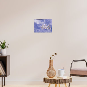 Affiche Orchidée papillon