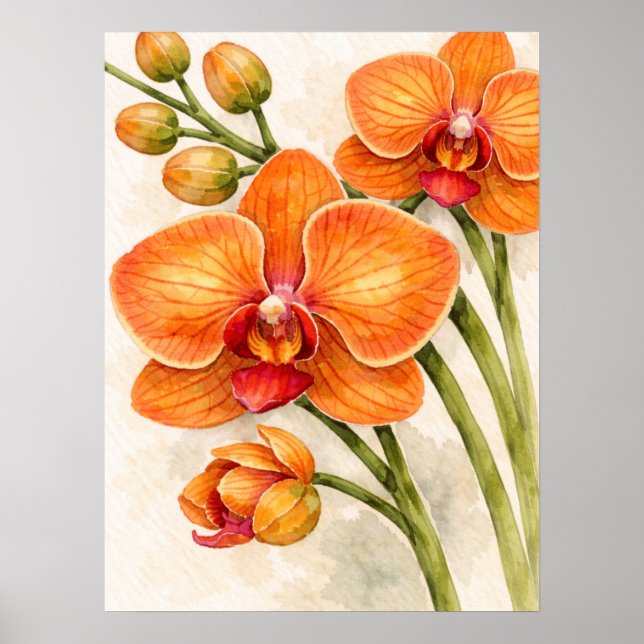 Affiche Orchidée Phalaenopsis orange aquarelle botanique (Devant)