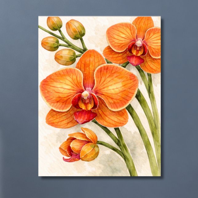 Affiche Orchidée Phalaenopsis Orange Botanique (Créateur téléchargé)