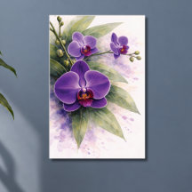 Orchidée pourpre botanique