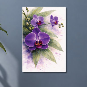 Affiche Orchidée pourpre botanique 