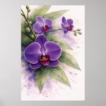 Orchidée pourpre botanique