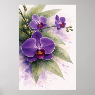 Affiche Orchidée pourpre botanique 