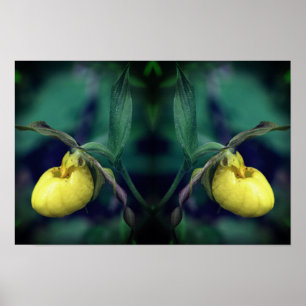 Affiche Orchidée Sabot de Vénus Fleur Art de la Nature Jau