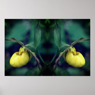 Affiche Orchidée Sabot de Vénus Fleur Art de la Nature Jau