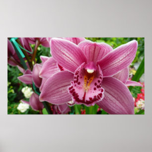 Affiche Orchidée violette Élégante Florale